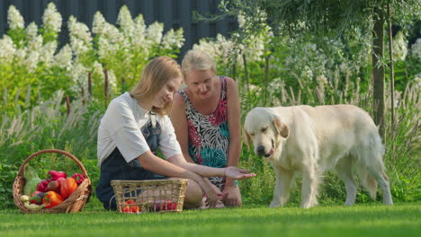 familia en un jardín con un perro y verduras