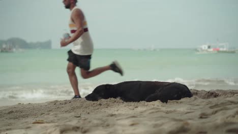 Beautiful-Scenery-Of-A-Dog-Sleeping-On-The-Shore-and-A-Man-Running-Along-the-Famous-Island-in-El-Nido,-Philippines---Perfect-for-Summer-Vacation---Wide-Shot