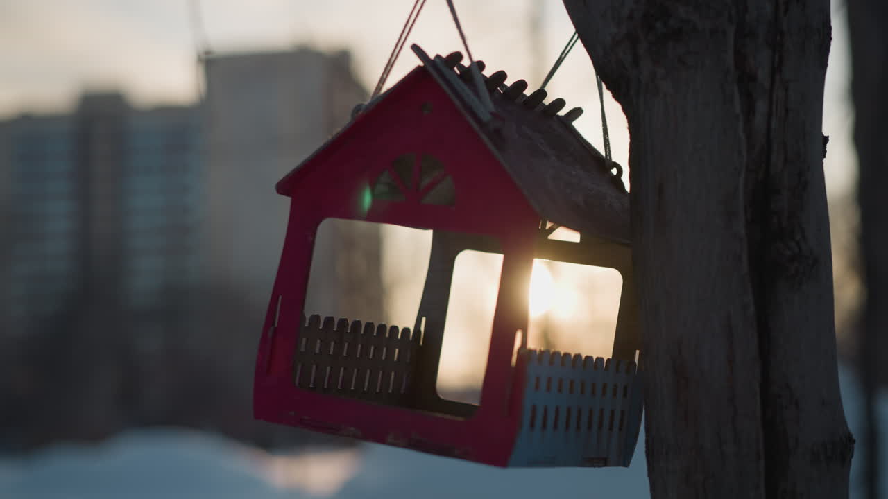 Close up of miniature red house hanging on tree with sunlight glowing through its window, green lens flare visible, and soft blurred urban background creating calm atmospheric winter setting