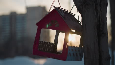 close up of miniature red house hanging on tree with sunlight glowing through its window, green lens flare visible, and soft blurred urban background creating calm atmospheric winter setting