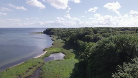 Toma-Aérea-Del-Mar-Y-Un-Bosque-En-Dinamarca-Escandinavia---Toma-De-Carro