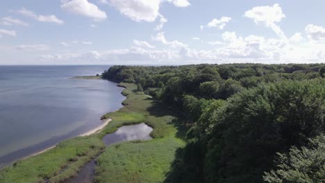 aerial shot of the sea and a forest in denmark scandinavia - dolly shot