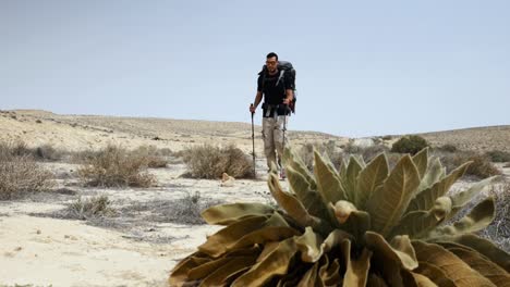 Cámara-Lenta-De-Un-Hombre-Caminando-Por-Un-Paisaje-Seco-Y-Desolado