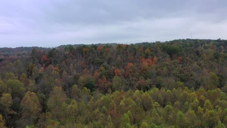 Droning-near-Dawson-Forest-in-Georgia