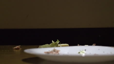 sándwich cayendo en el plato sucio vacío