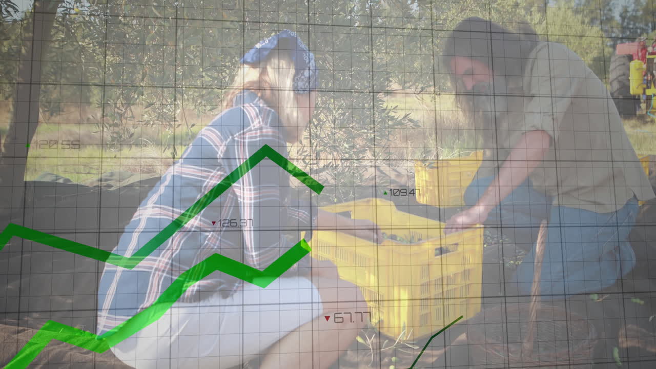 animación de gráfico verde creciente sobre los agricultores que cosechan los cultivos en cajas amarillas