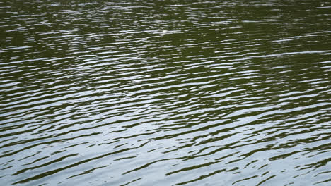 water ripped wave in canal