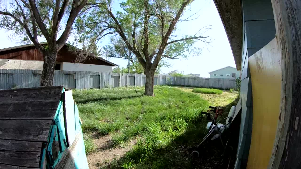 SLOW MOTION - Long grass blow in a strong wind during a storm in the backyard of a home.