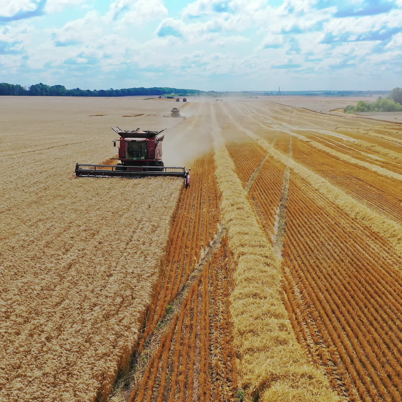 Aerial view of a modern combine harvesting dry grains at seasonal works. Combine working at wheat field in summer. Agriculture concept
