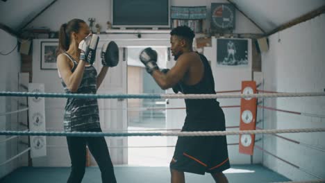 young boxers training in ring