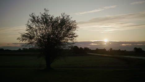 Langsames-Schwenken-Eines-Einsamen-Baumes-Während-Des-Sonnenaufgangs-Neben-Einer-Leeren-Straße