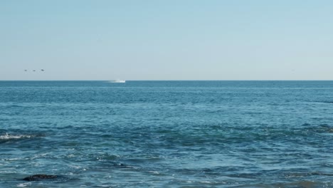 Una-Ballena-Saliendo-Del-Océano-Mientras-Los-Pájaros-Pasan-Volando-En-Primer-Plano