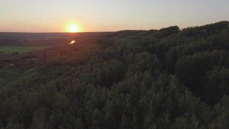 a drone descends towards tall trees in a winding river valley at sunset