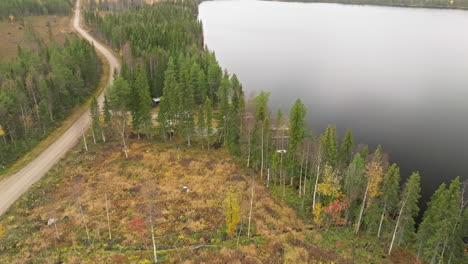 fir forest reveals wooden dock in calm lakeshore of sweden