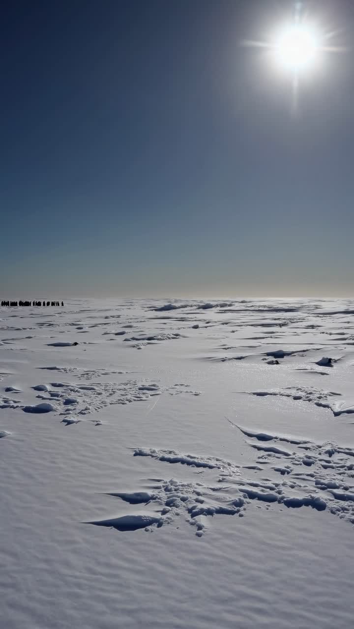 A wide-angle shot captures a vast, sunlit snowy landscape with distant figures