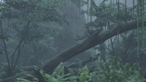 roots of exotic trees with thicket of shrubs and ferns against sunlight