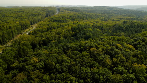 Vista-Aérea-Escénica-De-Un-Gran-Bosque-Verde-Mixto-Atravesado-Por-Una-Carretera