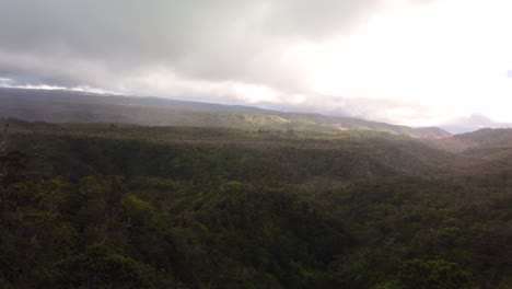 Gimbal-wide-panning-shot-of-the-lush-valley-at-the-summit-of-the-Na-Pali-mountains-in-Waimea-Canyon-on-the-island-of-Kaua'i-in-Hawai'i