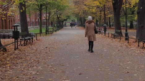 a lonely woman walks in the park in autumn time