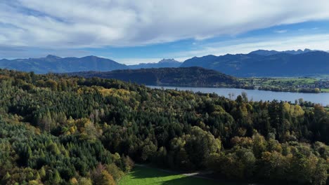 Antena-Que-Se-Eleva-Sobre-El-Paisaje-Forestal-Para-Revelar-El-Lago-Zurich-Con-Montañas-Al-Fondo