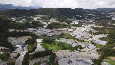 general landscape view of the brinchang district within the cameron highlands area of malaysia