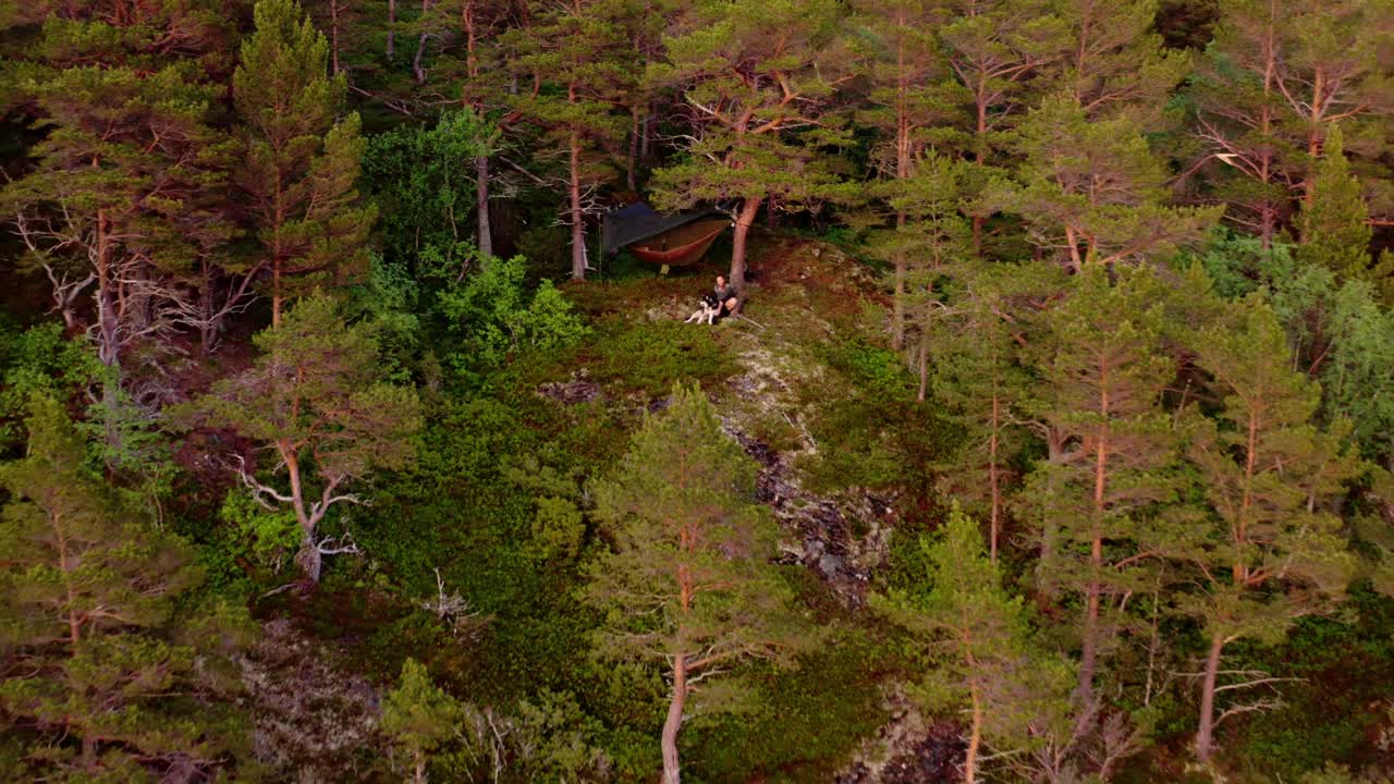 vista superior de un mochilero y su perro con una tienda de hamacas para acampar en medio del bosque - retirada de drones
