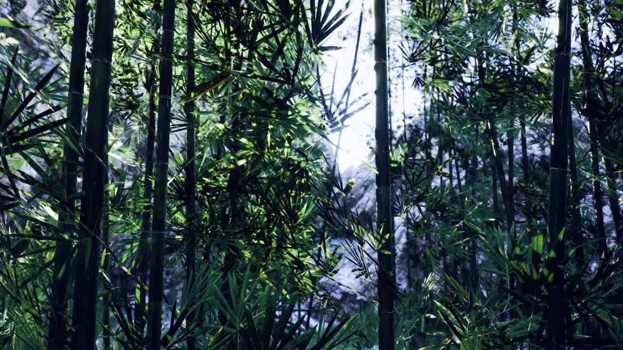 Lush green bamboo forest with sunlight filtering through leaves