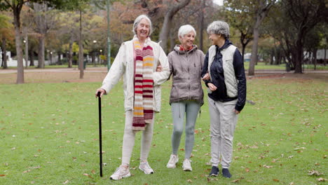 smile, retirement and senior friends in the park