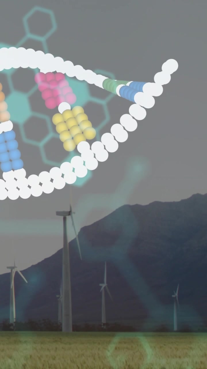 Video verticale: codice ciano che avvia un filamento di DNA in rotazione, rivelando cluster di dati su un'azienda agricola.