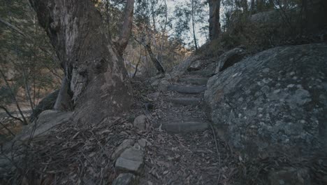 walking up stairs in jellybean pools national park western sydney australia