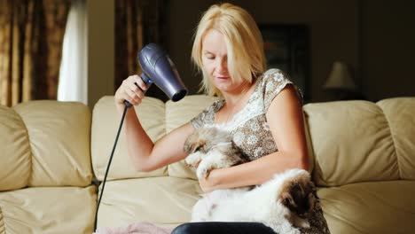 una mujer seca a un cachorro con un secador de pelo