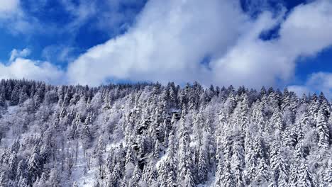 Drone-view-reaching-mountain-ridge-above-snow-covered-trees-during-springtime-with-blue-sky-and-big-clouds