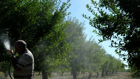 adult man sprays medicine garden