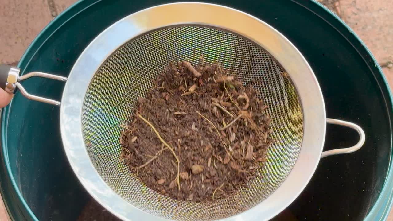 Person filters compost with handheld strainer, separating fine soil from organic debris in natural light