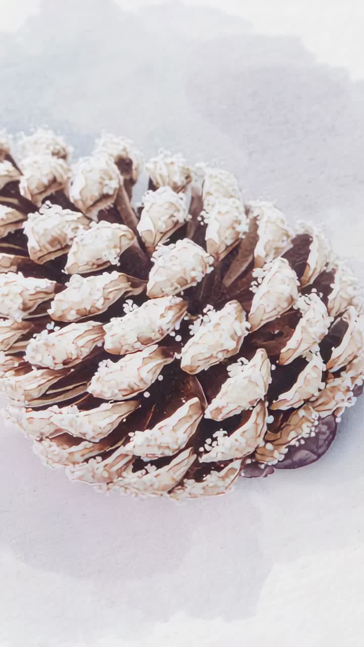 Vertical video: Zooming camera panning toward frosted pine cone on pale surface, showing snowy tips