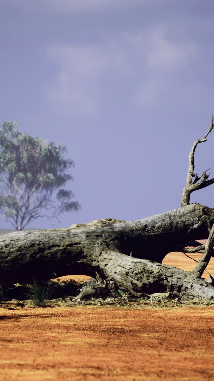 De stille schoonheid van de natuur toont een omgevallen boom onder een uitgestrekte lucht