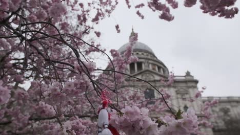 Breite,-Wunderschöne-Rosa-Kirschblütenblüten-Vor-Dem-Fokuszug-Der-St.-Pauls-Kathedrale