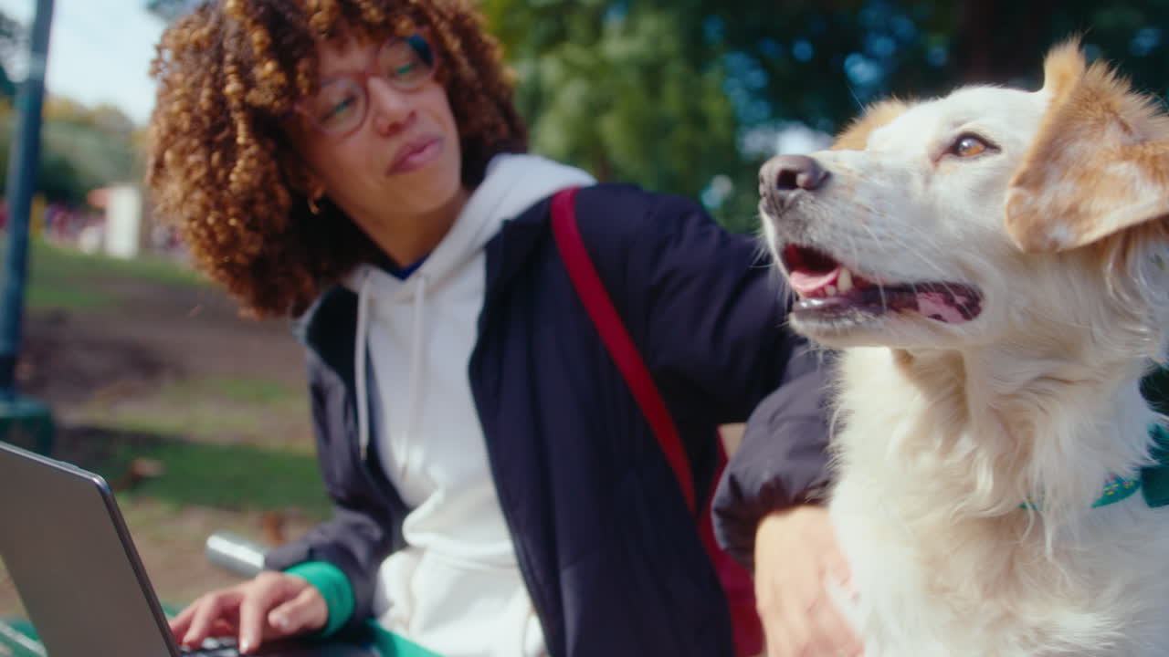 Cheerful Woman Petting a Dog and Working on Laptop in the Park