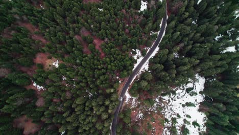 car on the curvy road cutting through the evergreen alpine forest in winter