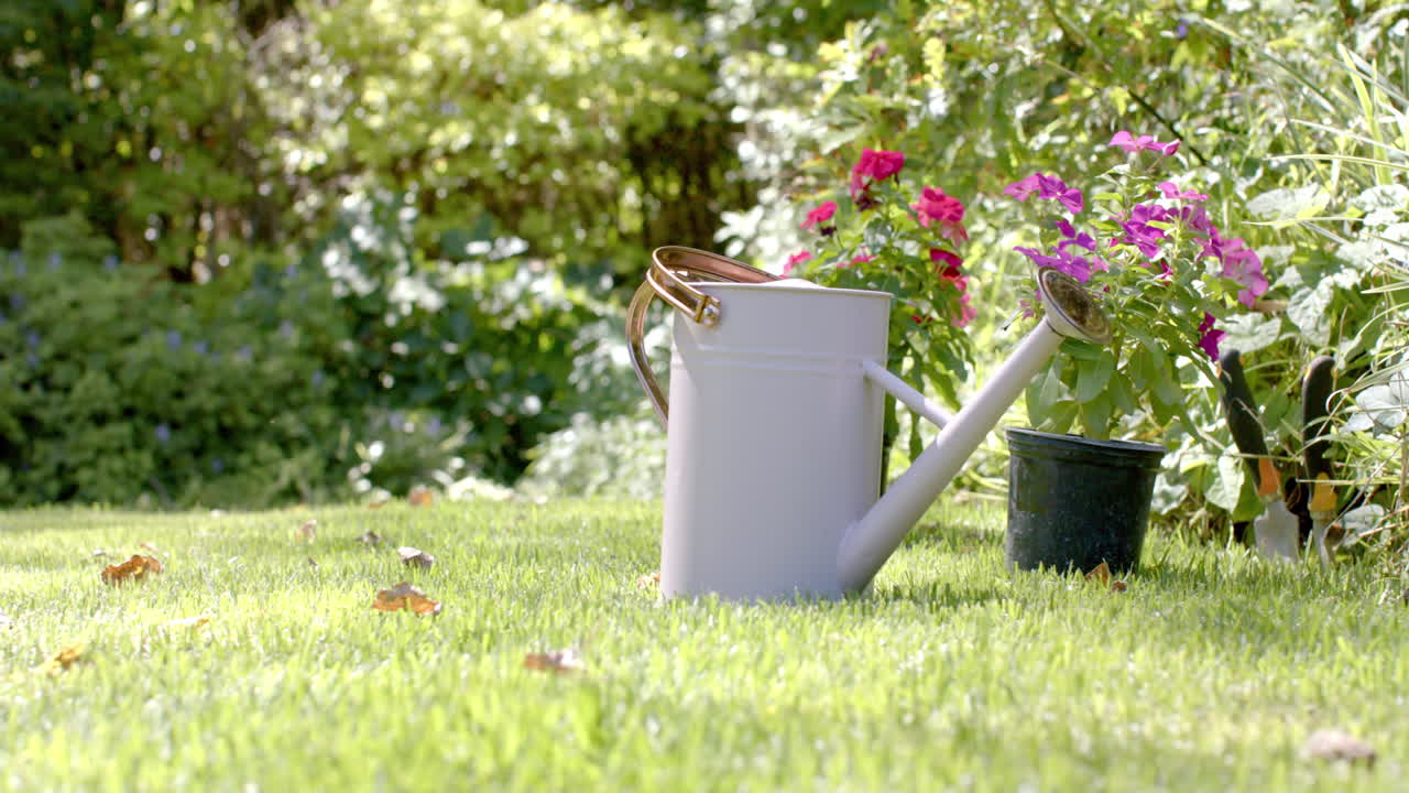 Watering can placed beside blooming flowers in garden on sunny day, copy space