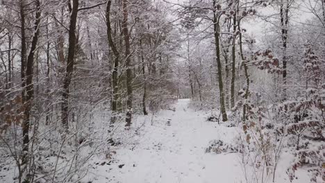 Nach-Einem-Schneefall-Mit-Neuschnee-Und-Eis-Allein-Auf-Dem-Waldweg-Spazieren-Gehen,-Konzept-Zum-Klimawandel