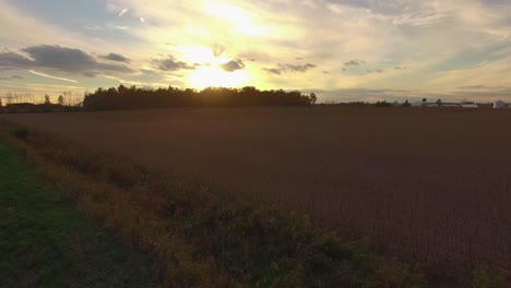 landscape with corn field at sunset in canada