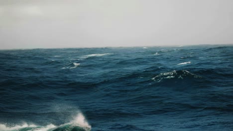 mar tormentoso y olas rompientes en un día de niebla