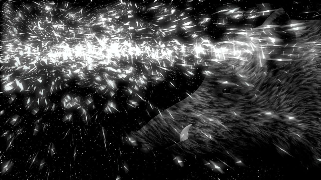 jabalí con el signo 2019 en una animación de cielo estrellado