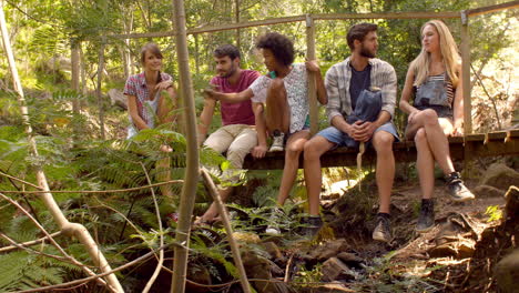 friends sitting on small bridge in forest, through foliage