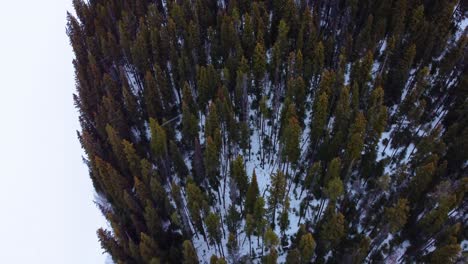 Mirando-Hacia-Abajo-Sobre-Una-Línea-De-árboles-De-Bosque-Nevado-En-El-Borde-De-Un-Lago-Congelado