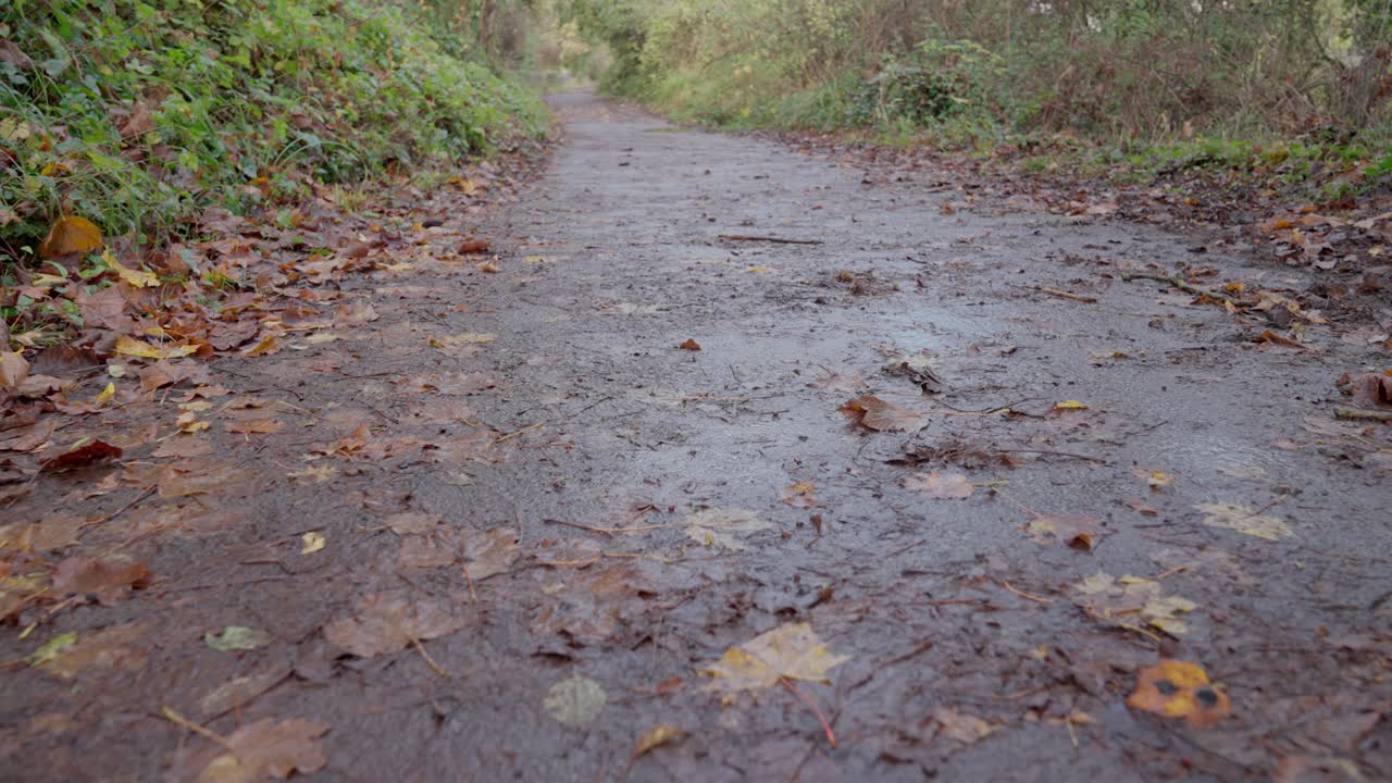 바닥을 따라 슬로우 모션 돌리