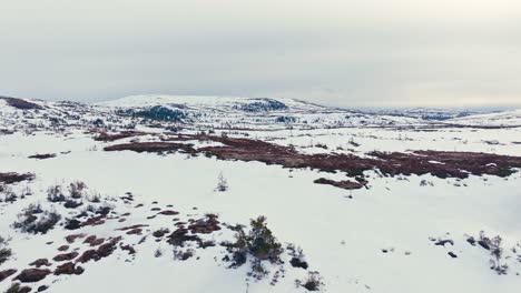 Densa-Nieve-Que-Cubre-El-Paisaje-Montañoso-Cerca-De-Verran,-Indre-Fosen,-Noruega