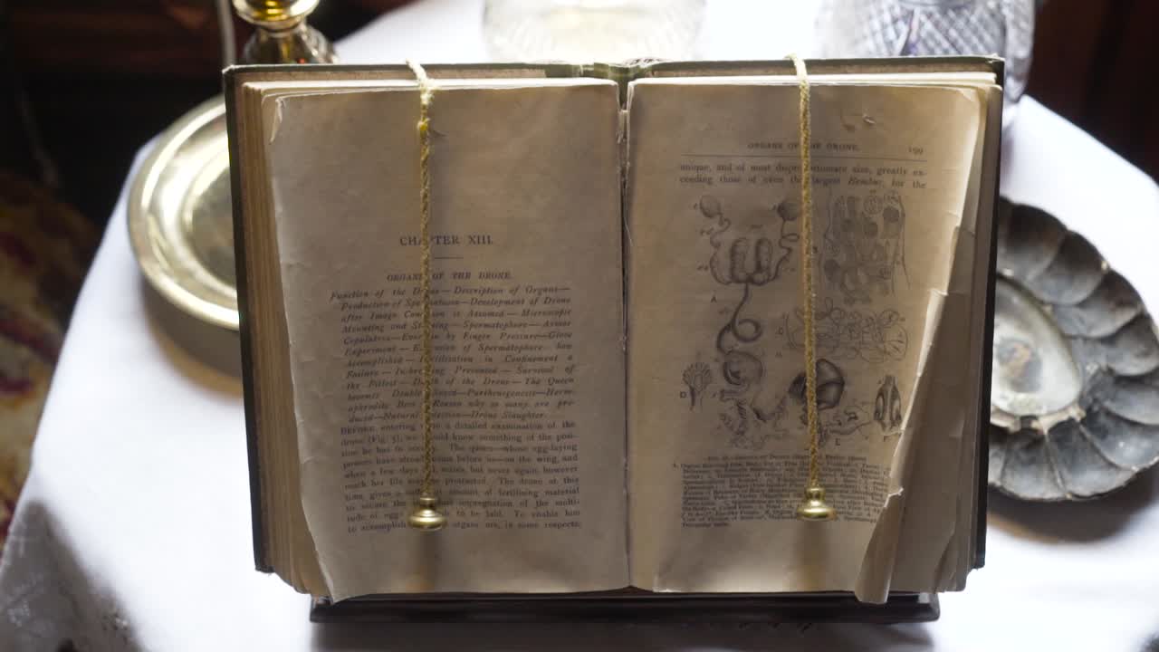 과학적 일러스트레이션으로 된 고대 열린 책