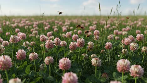 A Serene Meadow Filled with Vibrant Pink Clover Flowers Amidst a Blue Sky, Buzzing Bees, and Lush Green Grass, Captivating the Essence of Nature in Bloom